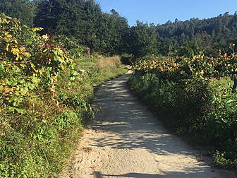 Day 3: Cawley's Camino